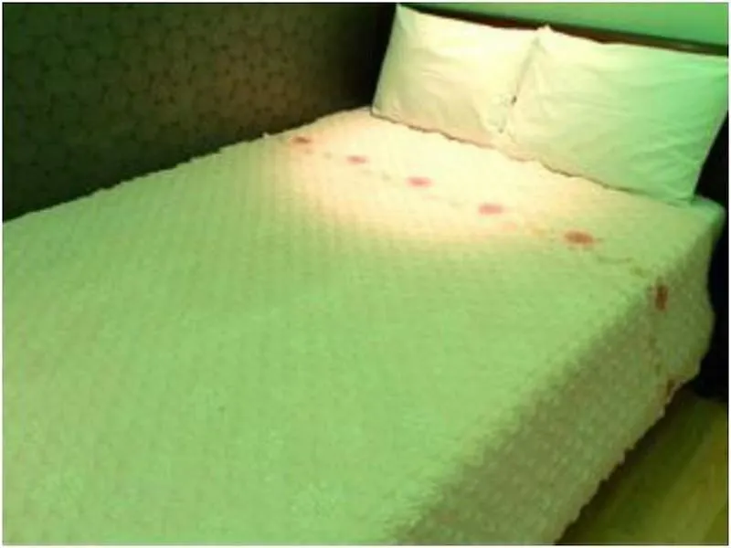 Bobos Motel Yeongdeungpo Seoul